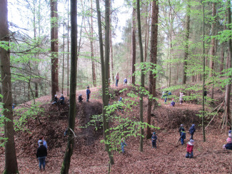 Waldtage I